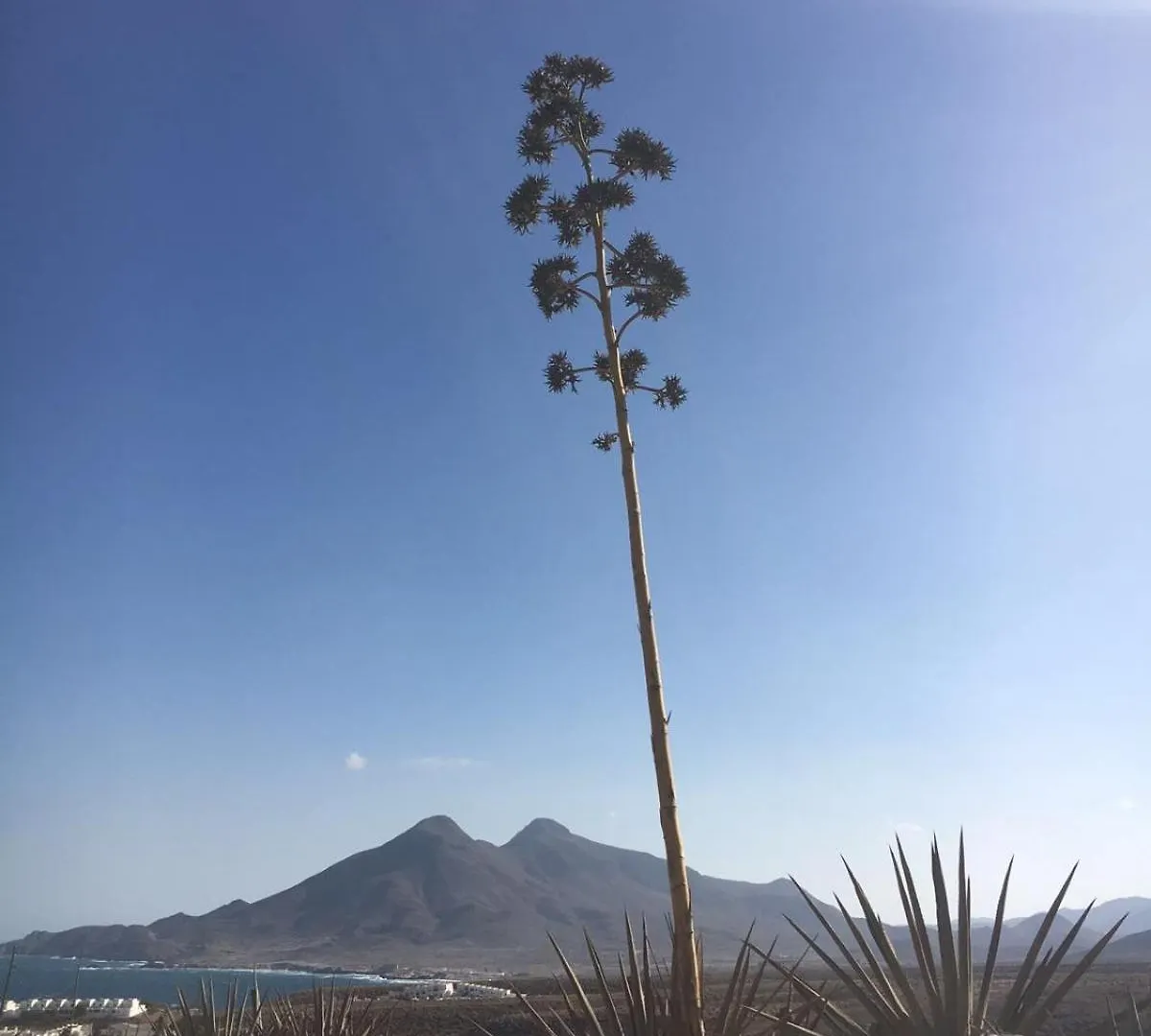 カントリーハウス Casas Rurales Cortijo Torreblanca Parque Cabo De Gata エル・ポソ・デ・ロス・フライレス